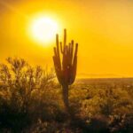 സ്വർണവില റെക്കോർഡ് ഉയരത്തിൽ; ഉപഭോക്താക്കൾ ആശങ്കയിൽ