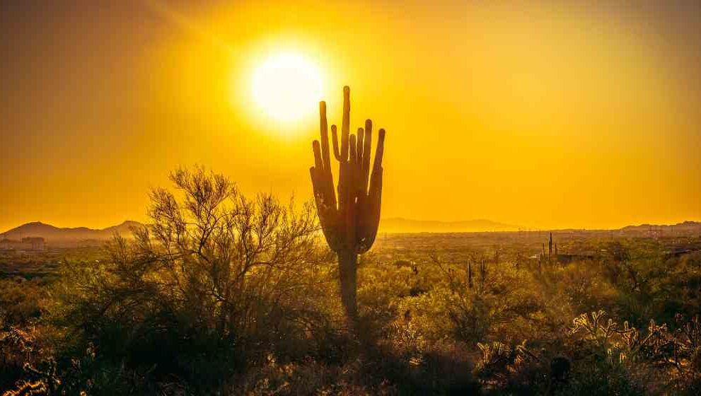 Extreme Heatwave Alert: India to Face Intense Summer