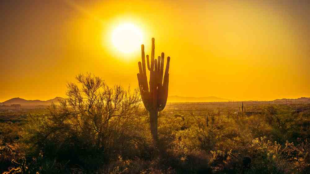 Extreme Heatwave Alert: India to Face Intense Summer