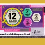 Vishu Bumper 2025 Winner