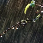 Kerala Rain Alert