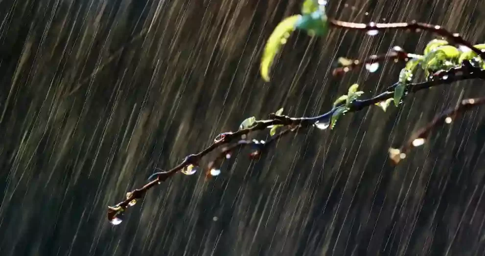Kerala Rain Alert