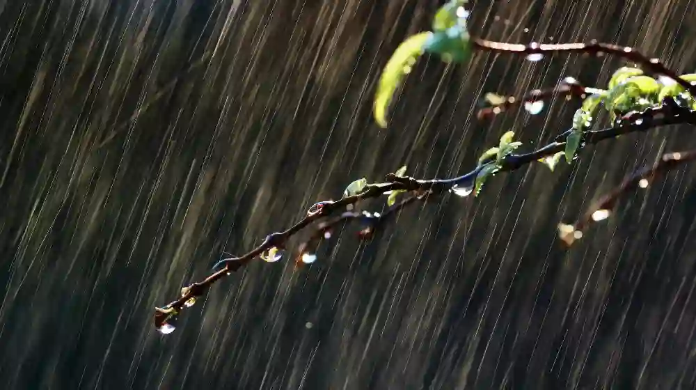 Kerala Rain Alert