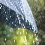 യുഎഇയിലും യുപിഐ സേവനം; ഇന്ത്യക്കാർക്ക് സൗകര്യപ്രദമായ ഡിജിറ്റൽ ഇടപാടുകൾക്ക് വാതിൽ തുറന്നു…