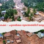 റഷ്യൻ തീരത്ത് വൻ ഭൂചലനം; ജപ്പാനും റഷ്യയും സുനാമി ഭീഷണിയിൽ