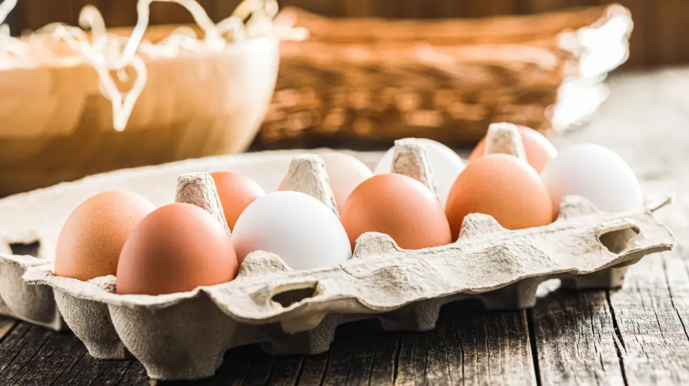 Health Benefits of Eating One Egg Daily