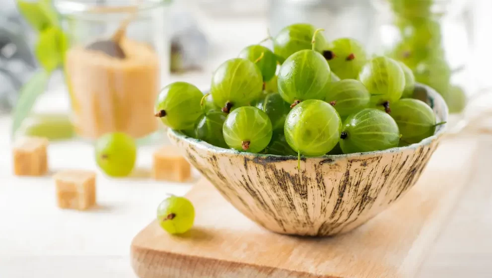 gooseberry benefits