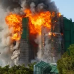 ‘കാന്ത’ ലോകവ്യാപകമായി 34 കോടി: ദുൽഖറിന്റെ ചിത്രം കുതിപ്പ് തുടരുന്നു