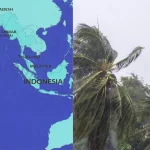 സീബ്ര ക്രോസിങ്ങിൽ നിയമലംഘനം കുതിക്കുന്നു; കർശന നടപടി നിർദേശിച്ച് ഹൈക്കോടതി