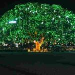 വിജയ് ഹസാരെ ട്രോഫി: സുരക്ഷാ ആശങ്ക; ഡൽഹി–ആന്ധ്ര മത്സരം ചിന്നസ്വാമിയിൽ നിന്ന് മാറ്റി, കോലിയുടെ തിരിച്ചുവരവ് കാണാനെത്തിയവർക്ക് നിരാശ