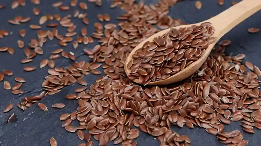 Flax Seed Benefits