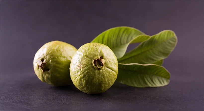 Guava benefits