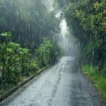 ഐപിഎൽ നിരാശക്കിടെ സന്തോഷം; സഞ്ജു സാംസൺ ഐസിസി പ്ലെയർ ഓഫ് ദ മന്ത് പട്ടികയിൽ, ബുമ്രയും