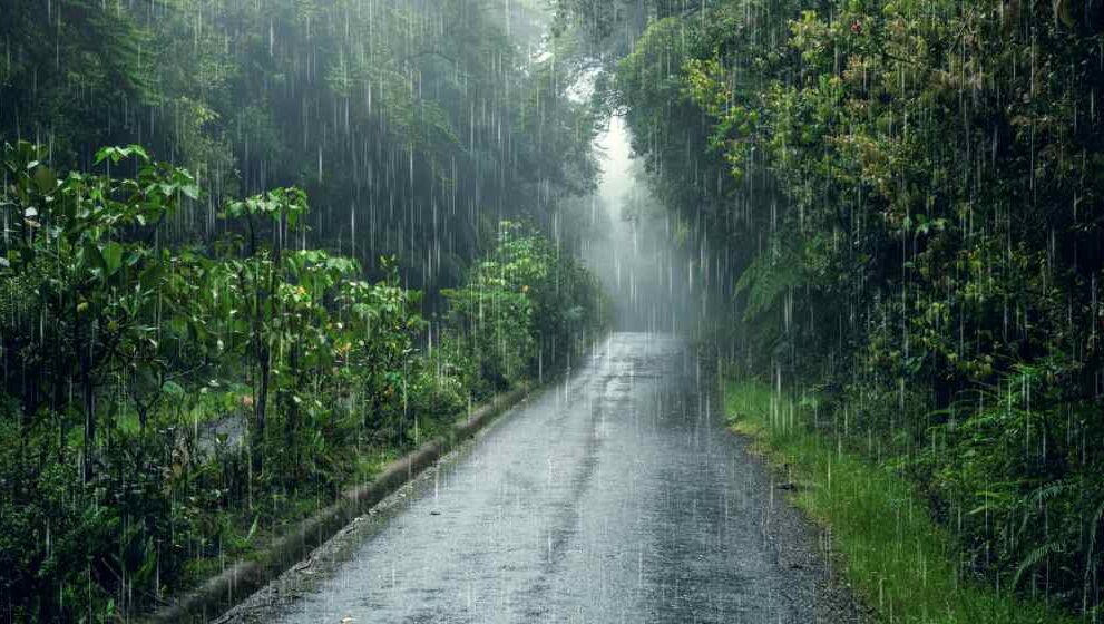 Kerala Summer Rain Alert