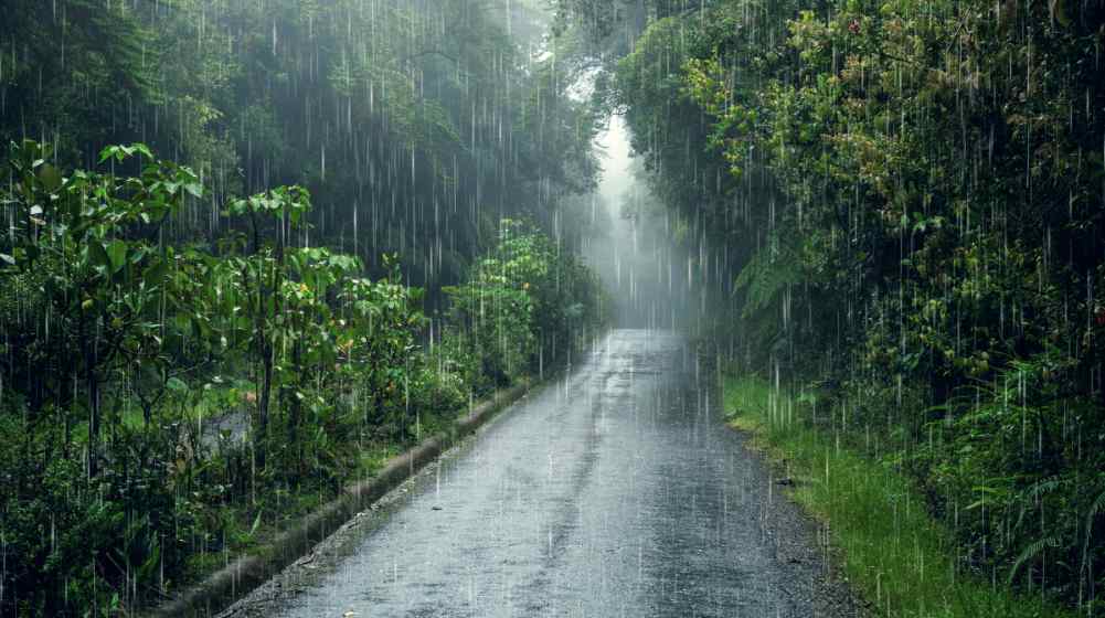 Kerala Summer Rain Alert