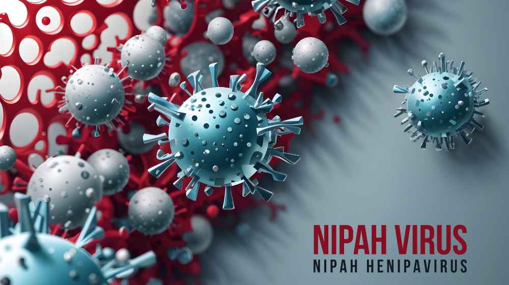 Nipah Virus