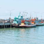 Trawling