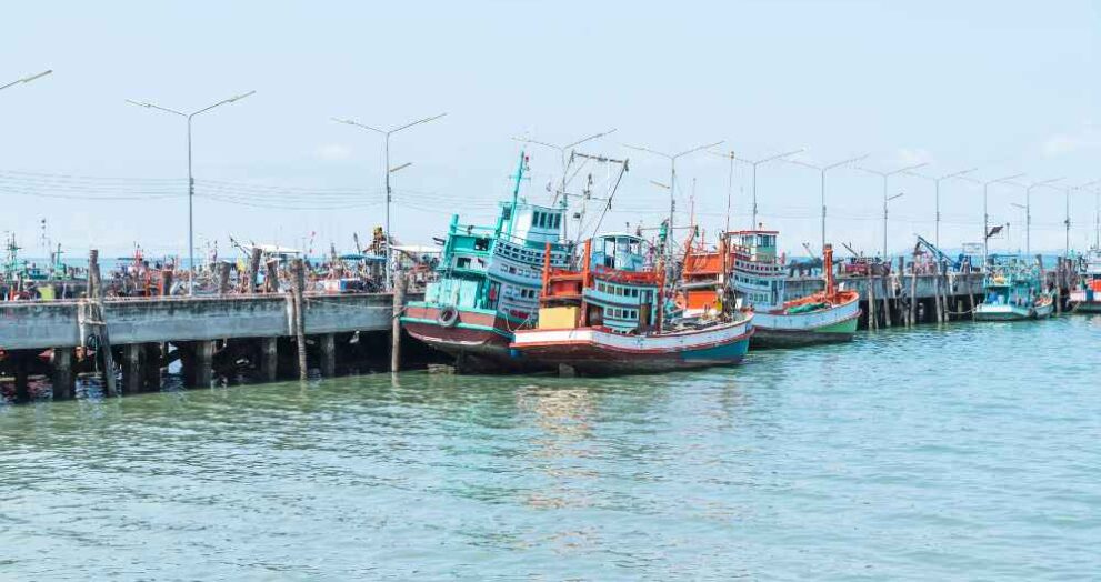 Trawling