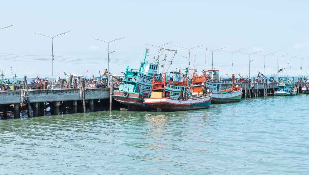 Trawling